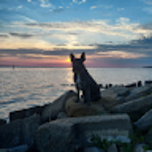 Meet your Posher, Peg